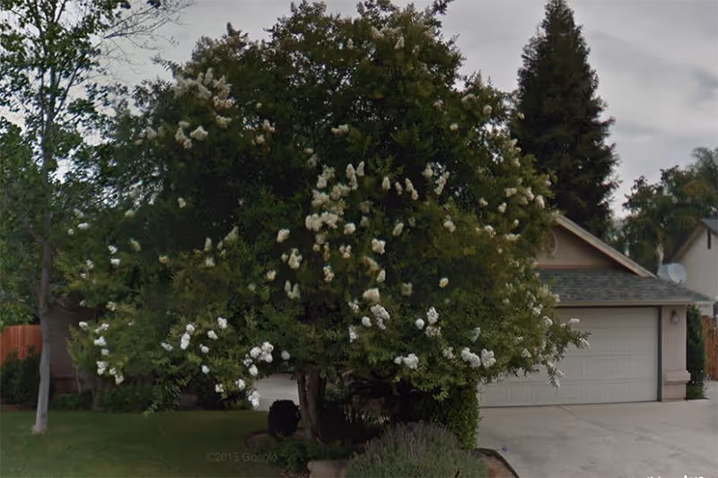 Front exterior of a residential care home with driveway, trees, and a two-car garage.