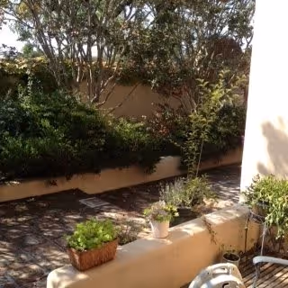 A sunny outdoor patio area with a stone floor, surrounded by beige walls and lush green plants and trees. There are potted plants placed on the low wall and a white metal chair partially visible in the foreground.