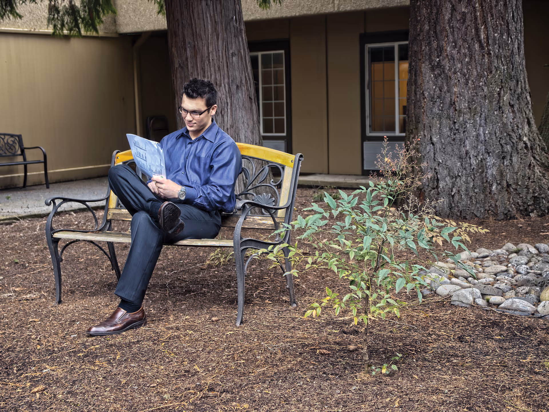 A man wearing glasses, a blue shirt, and dark pants is sitting on a wooden bench with metal armrests in an outdoor garden area, reading a newspaper. Behind him are large tree trunks and a building with windows.