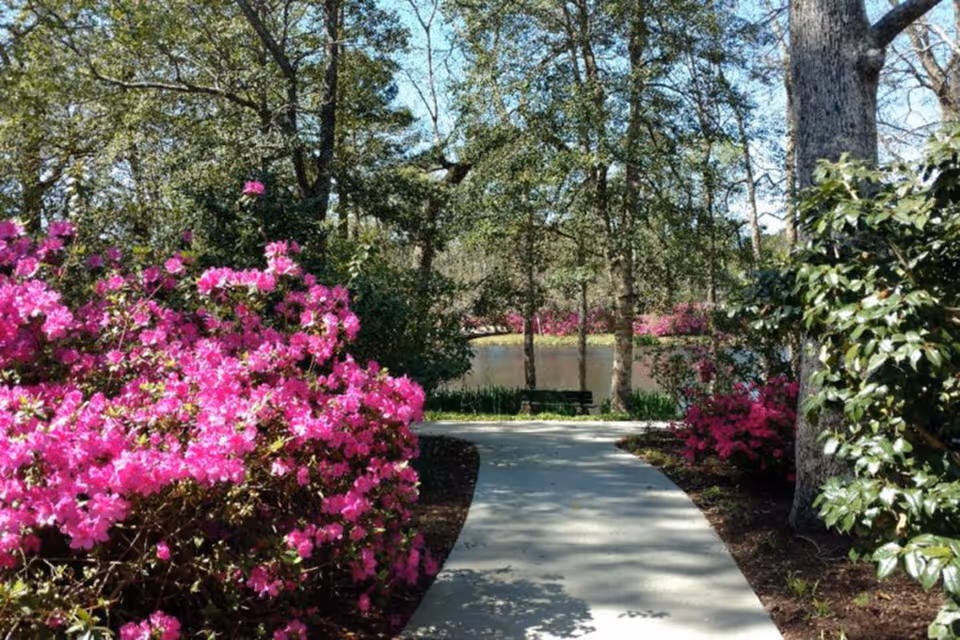 Photo 8 of Porters Neck Village