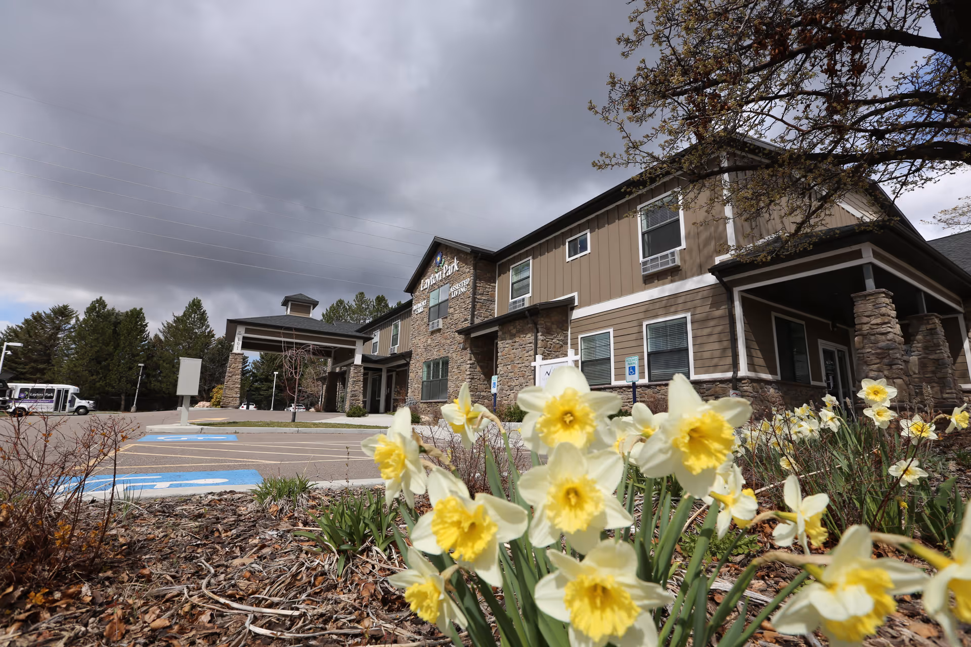 Exterior view of Layton Park Memory Care facility with a stone and wood facade under a cloudy sky. Yellow daffodil flowers are in the foreground near the parking lot with handicap parking spaces visible.