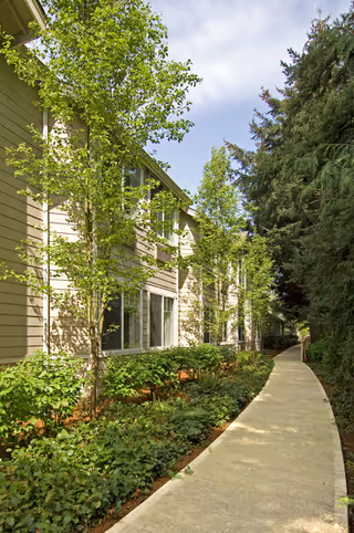 Curved concrete pathway alongside a two-story residential building bordered by trees and landscaped shrubs.