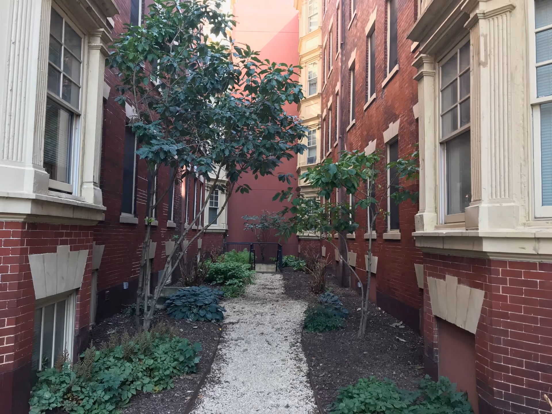 A narrow outdoor garden path with small trees and plants on either side, bordered by two red brick buildings with cream-colored window frames.