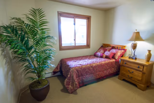 A small bedroom with a single bed covered in a red patterned bedspread and matching pillows. Next to the bed is a wooden nightstand with a decorative lamp and vase. A large potted plant is placed in the corner near a window with wooden trim, and the walls are painted white.