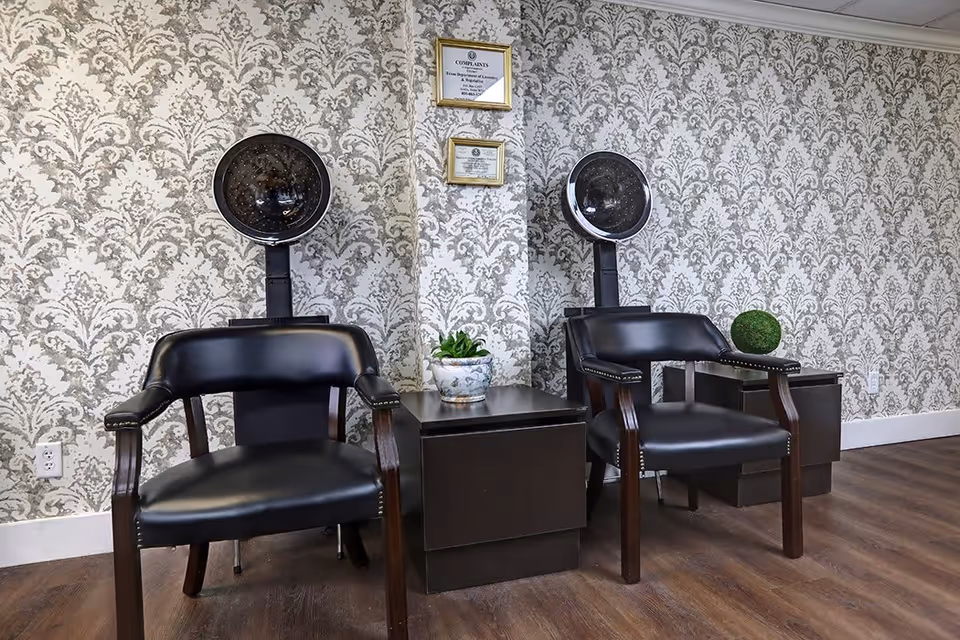 Two black salon chairs with attached hair dryers in a room with patterned wallpaper and wooden flooring. Between the chairs are two dark wooden side tables, one with a small potted plant and the other with a decorative green sphere. Two framed certificates hang on the wall above the side tables.