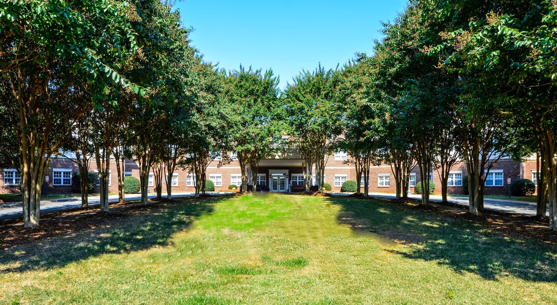 A wide grassy lawn flanked by two rows of trees leading to the entrance of a brick building under a clear blue sky.