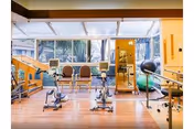 Bright interior exercise room with recumbent bikes, therapy balls, and parallel bars in front of large windows.