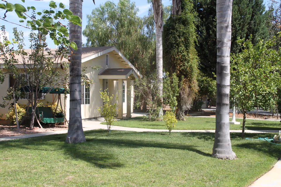 A single-story building with a beige exterior surrounded by a well-maintained lawn and several tall palm trees. There is a green swing bench on the left side near some bushes and small trees. A concrete pathway curves through the grass leading to the building entrance. The sky is clear and blue.