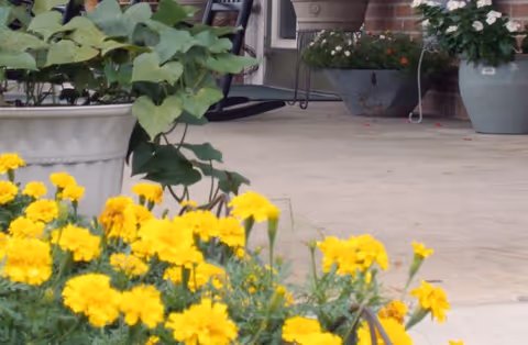 Yellow flowers in pots line a concrete front porch at a senior living facility.