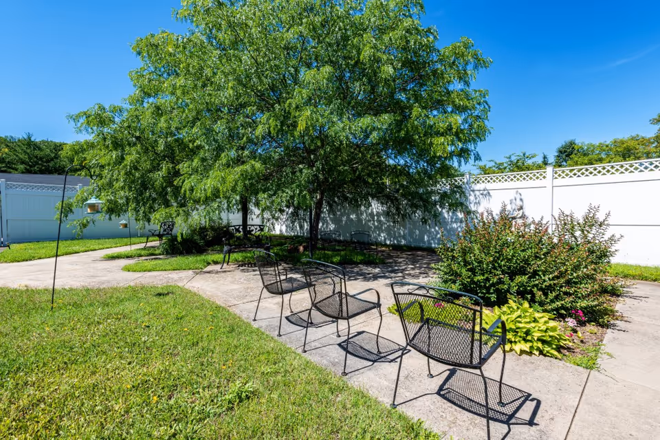 Outdoor garden area with a concrete pathway, several black metal chairs, a large leafy tree providing shade, green grass, and a white privacy fence in the background under a clear blue sky.