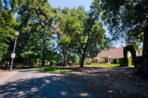 Tree-lined driveway leads to a single-story building at O'Connor Woods senior living campus.
