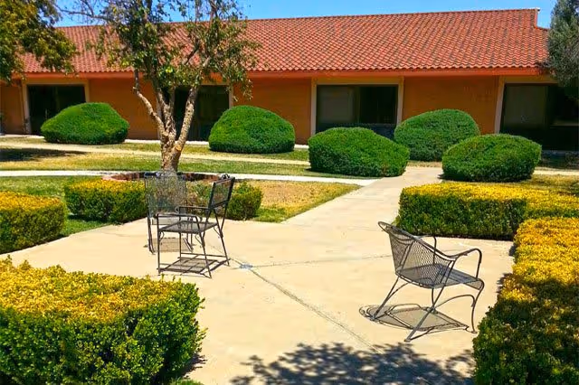 Outdoor courtyard area with trimmed bushes, a tree, and metal patio chairs on a concrete pathway in front of a building with a red tiled roof and windows.