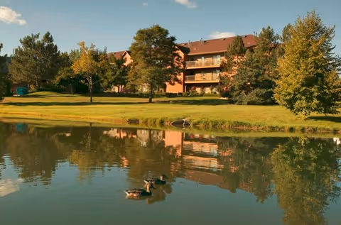 A serene outdoor scene featuring a pond with three ducks swimming, surrounded by green grass and trees with autumn foliage. In the background, there is a multi-story brick building with balconies under a partly cloudy sky.