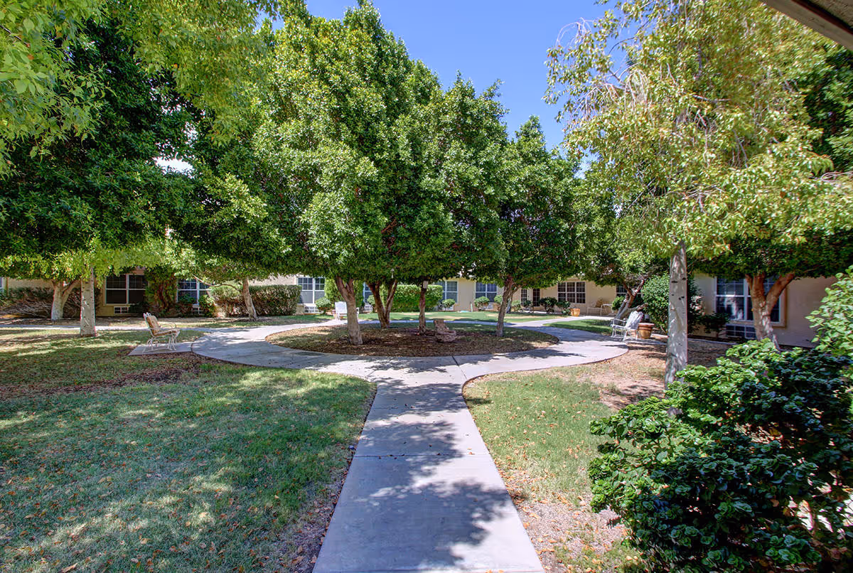 A peaceful outdoor courtyard area at a senior living facility with a concrete pathway forming a circular shape around a cluster of green leafy trees. There are benches placed along the pathway and a building with windows in the background under a clear blue sky.