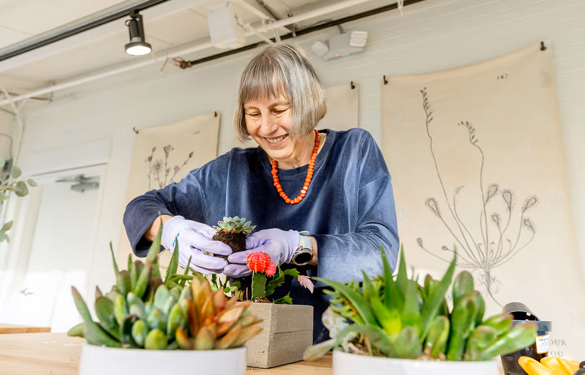 An elderly woman wearing purple gloves and a blue sweater with a red necklace is smiling while planting succulents in a rectangular concrete planter on a wooden table. There are other potted succulents in the foreground, and botanical drawings hang on the white wall behind her.