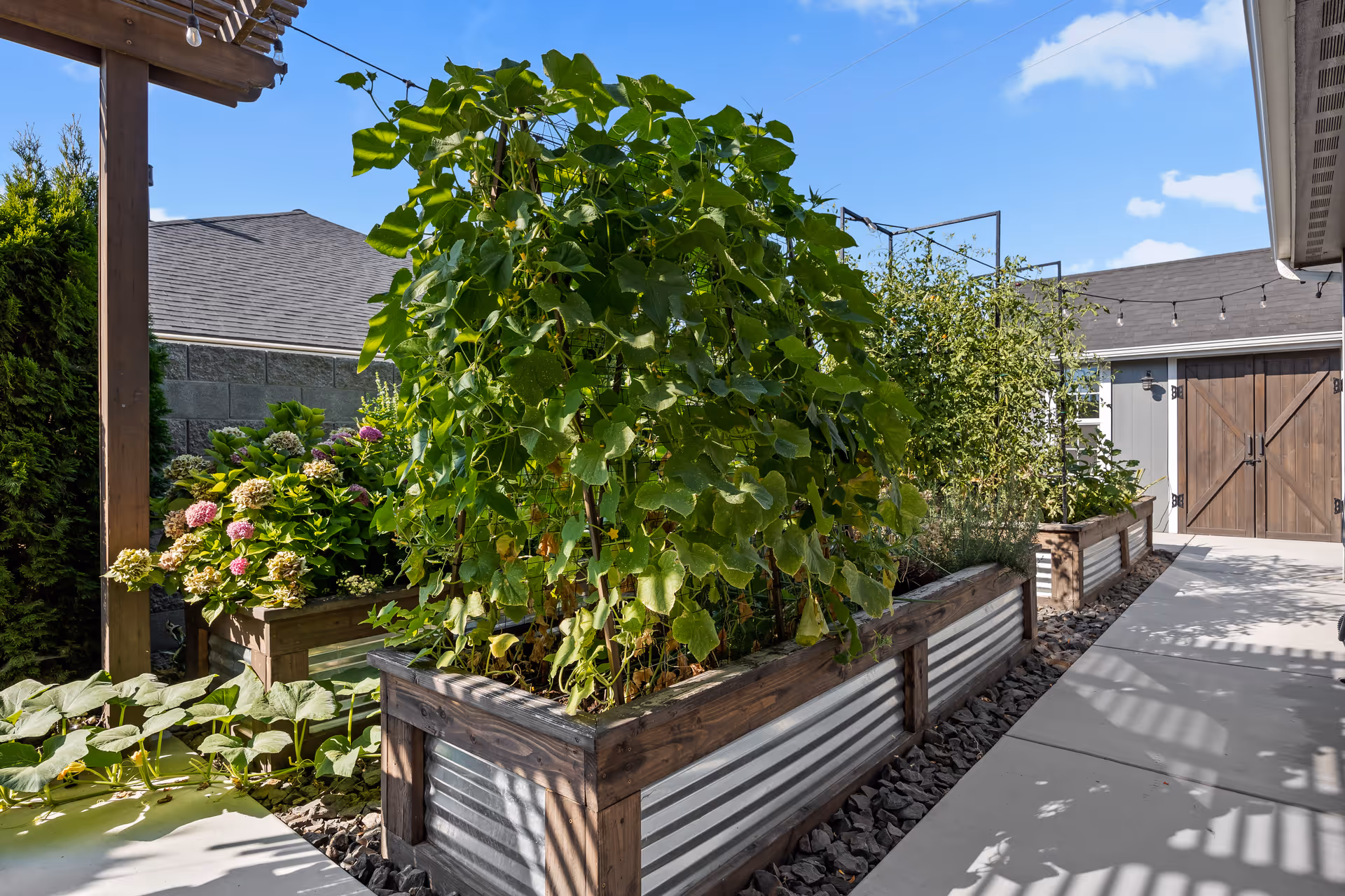 Raised wooden-and-metal planter boxes filled with lush green plants and flowers along a paved walkway leading to wooden double doors under a clear blue sky.