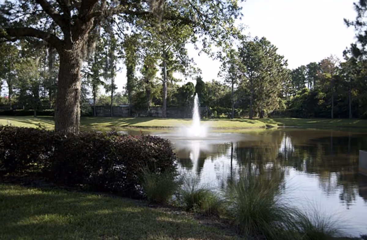 A peaceful outdoor scene featuring a small pond with a water fountain in the center, surrounded by green grass, bushes, and tall trees under a clear sky.