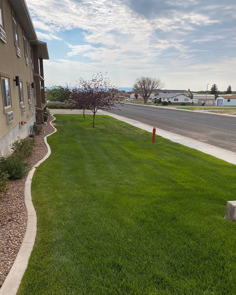 View of a well-maintained grassy lawn area beside a beige building with windows and landscaping rocks. There are a few small trees planted along the lawn, a red fire hydrant near the sidewalk, and a street with houses and trees in the background under a partly cloudy sky.