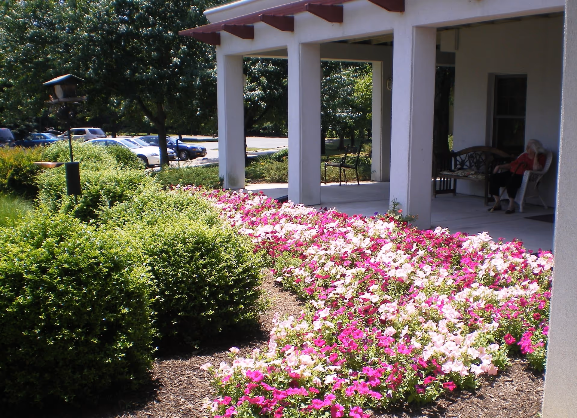 A garden area with vibrant pink and white flowers in front of a covered porch with white pillars. There are green bushes and trees in the background, a parking lot with cars, and a person sitting on a chair on the porch.