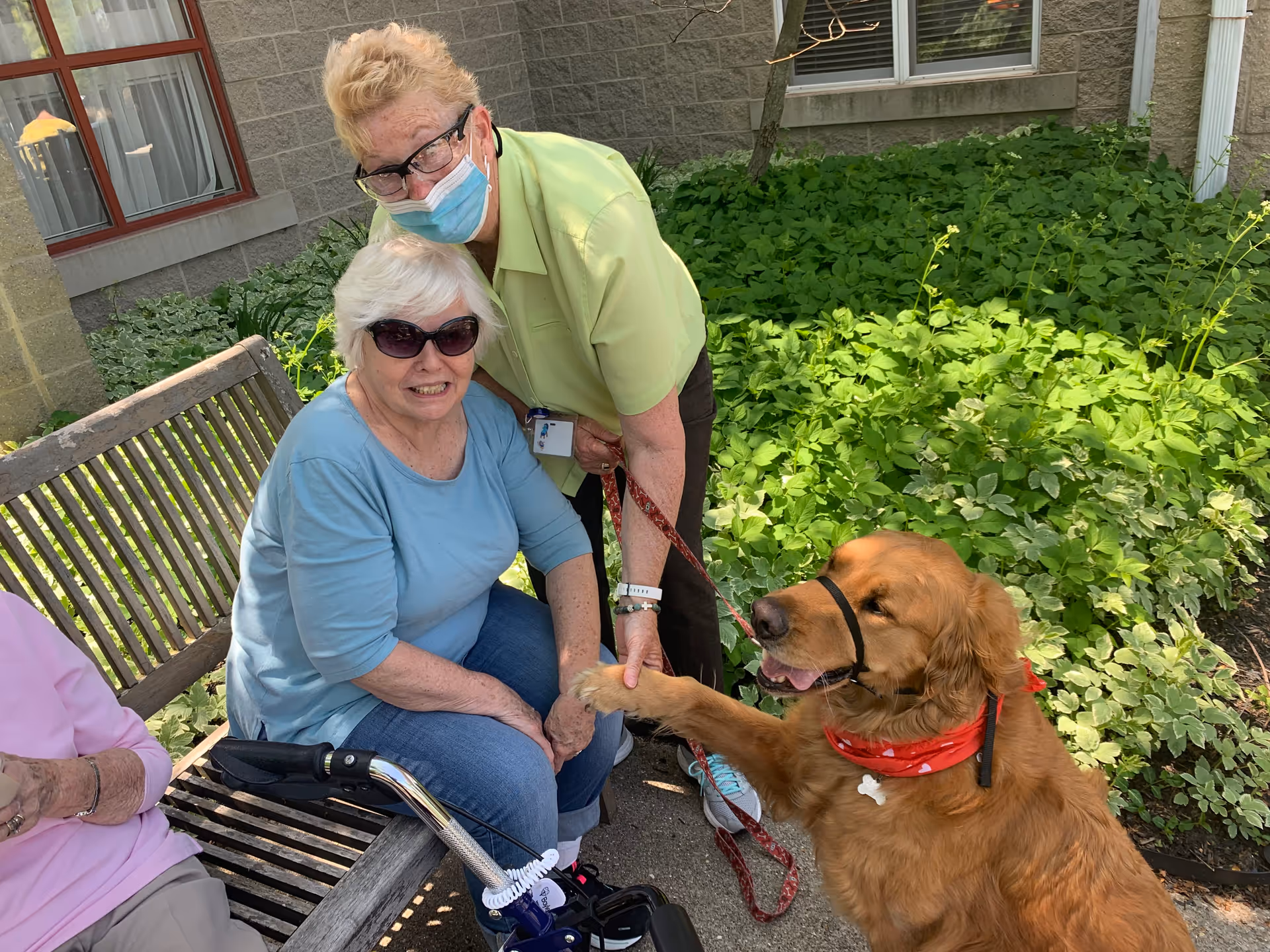 Two elderly women sitting and standing near a wooden bench outside a building with greenery in the background. One woman is seated wearing sunglasses and a blue shirt, while the other woman stands behind her wearing a mask and glasses, holding the leash of a golden retriever dog that is giving its paw.