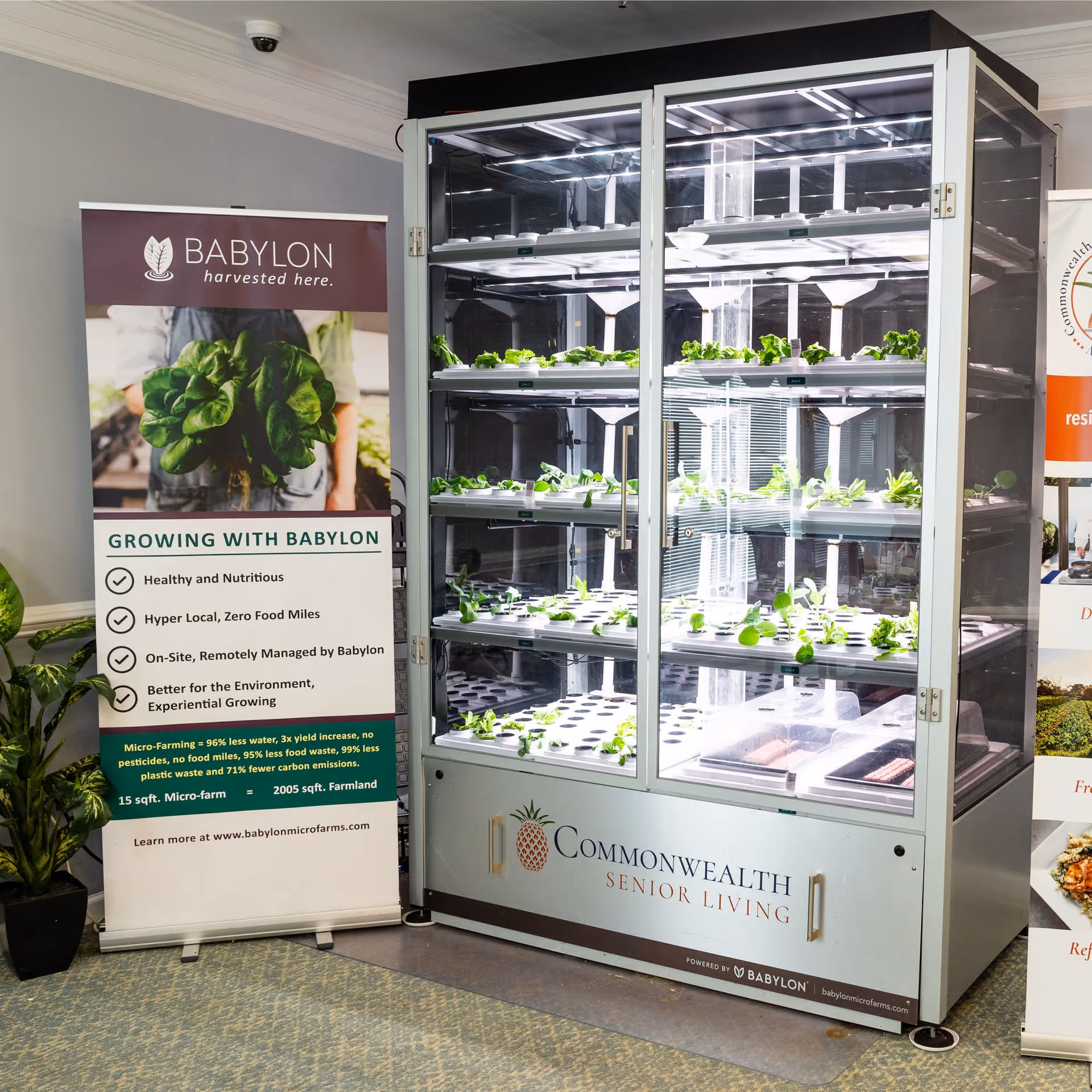 A vertical indoor hydroponic growing unit with trays of young lettuce next to a Babylon micro-farms banner in a senior living facility.