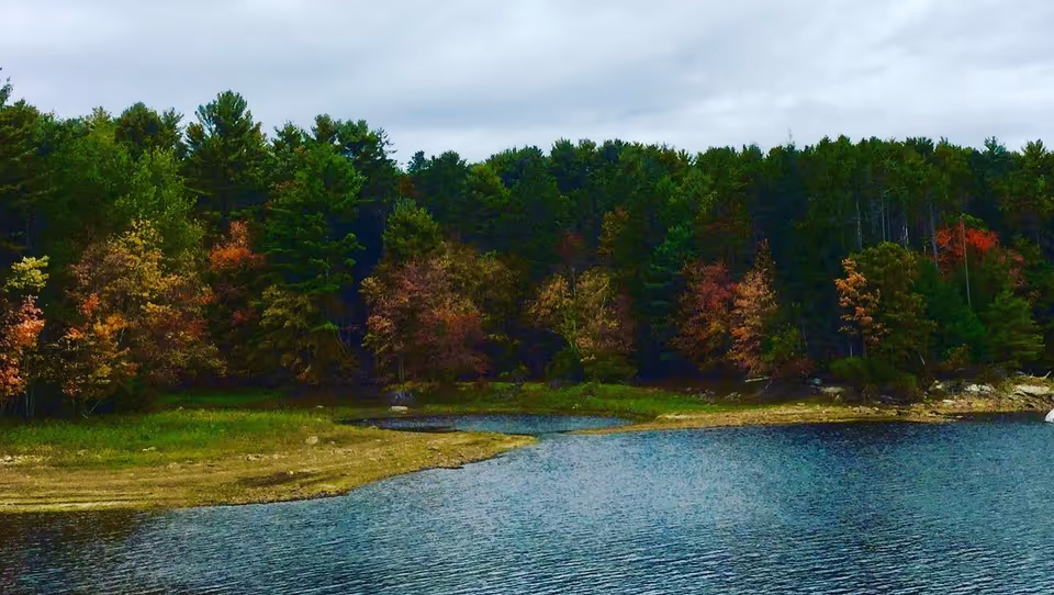 A scenic view of a lake with a forested shoreline featuring trees with green and autumn-colored leaves under a cloudy sky.