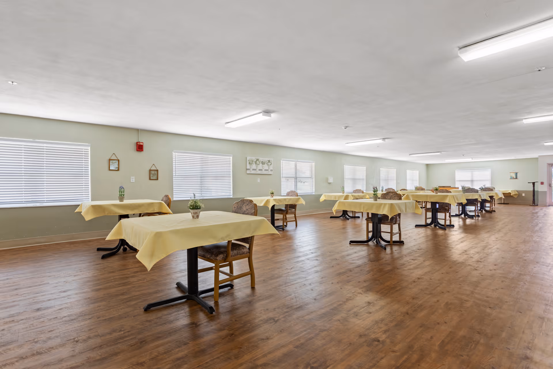A spacious dining room with multiple tables covered in yellow tablecloths, each accompanied by chairs. The room has wooden flooring, several windows with blinds, and light green walls decorated with small framed pictures and plants on the tables.