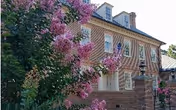 Exterior view of a multi-story brick building partially obscured by blooming pink flowers and green foliage in the foreground.