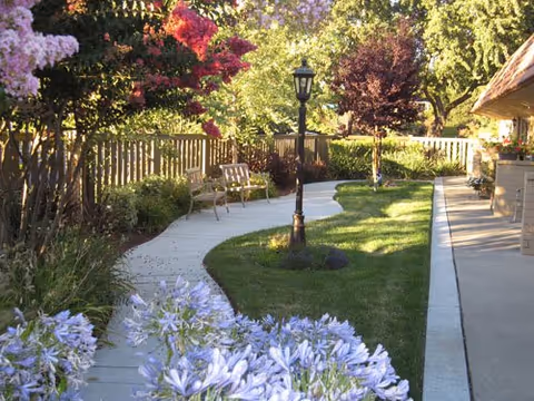 Curving sidewalk through a landscaped outdoor garden with benches, a lamppost, flowering shrubs, and an adjacent building.