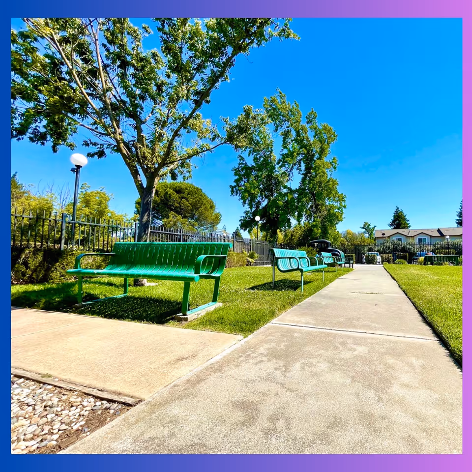Outdoor area with a concrete walkway flanked by green metal benches on grassy lawns, surrounded by trees and a black metal fence under a clear blue sky.