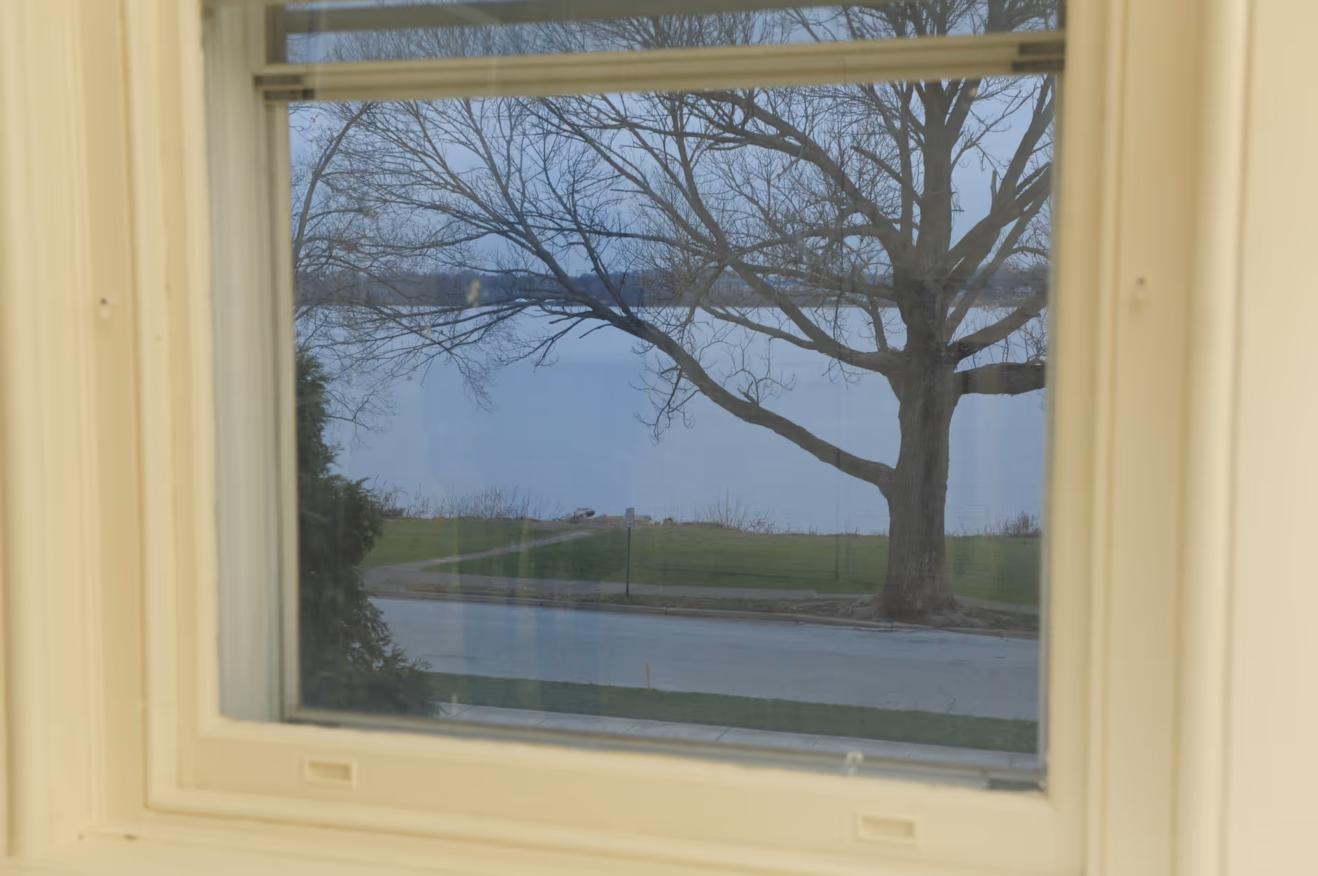 View through a window showing a large leafless tree, a road, grassy area, and a body of water in the background under a cloudy sky.