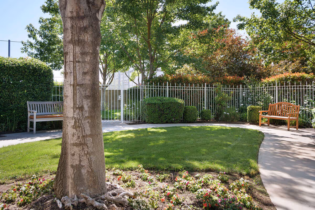 A peaceful outdoor garden area with a large tree in the foreground, green grass, flower beds, two wooden benches on either side of a curved concrete pathway, and a white metal fence with bushes and trees in the background.