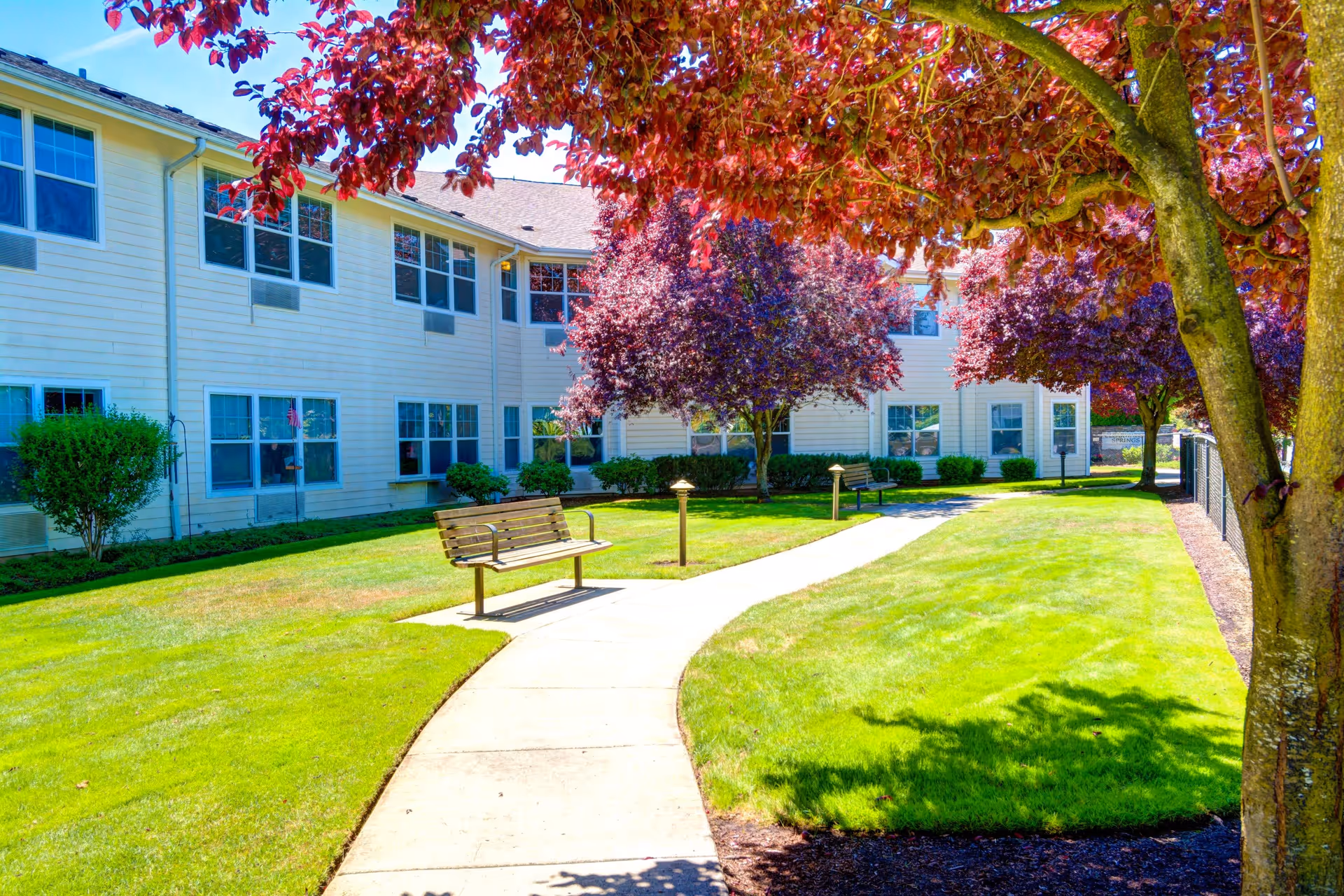Outdoor view of Clearwater Springs by Cogir showing a well-maintained garden area with a curved concrete pathway, green grass, benches, and trees with red and purple leaves next to a two-story building with multiple windows.