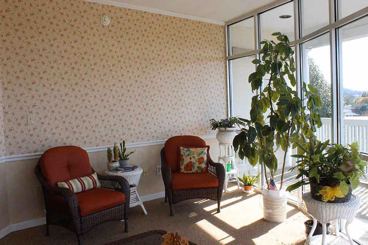 A sunlit sitting area with two wicker chairs featuring red cushions and decorative pillows, a small white wicker side table with potted plants, and several large potted plants near a glass wall with a view of an outdoor balcony.