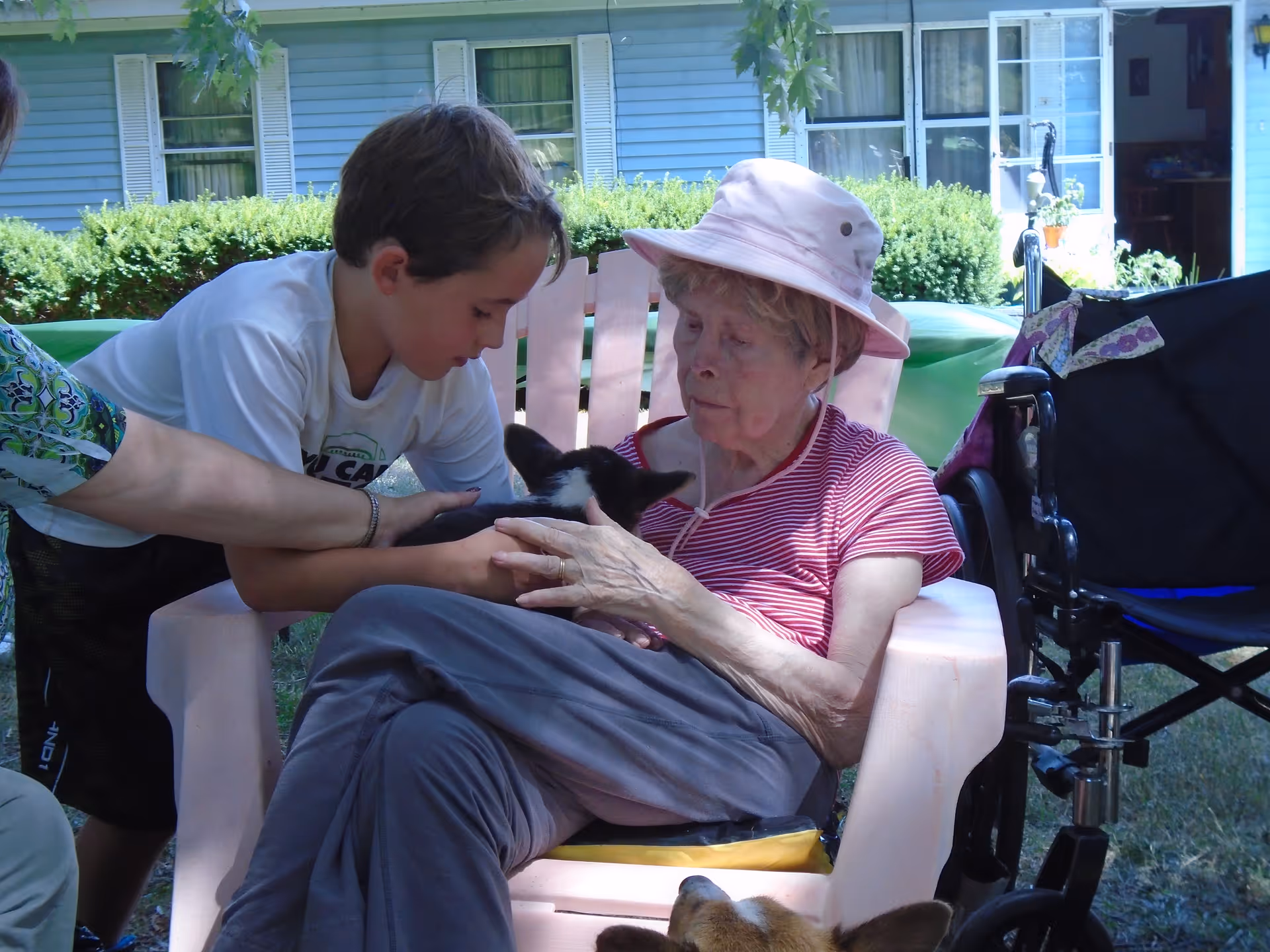 An elderly woman wearing a pink hat and striped shirt sits in a chair outdoors, holding a small black and white dog. A young boy leans over to pet the dog. A wheelchair is visible next to the woman, and a dog is partially visible at the bottom of the image. The background shows a blue house with windows and greenery.
