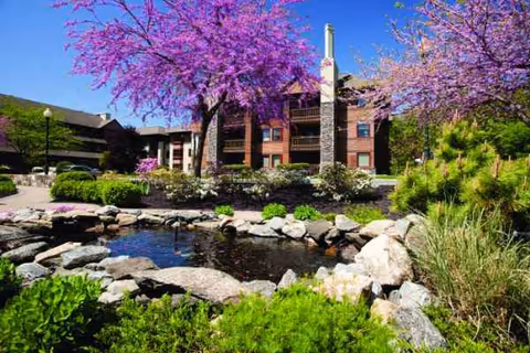 Exterior view of Edgehill Senior Living with a pond, rocks, and pink flowering trees.