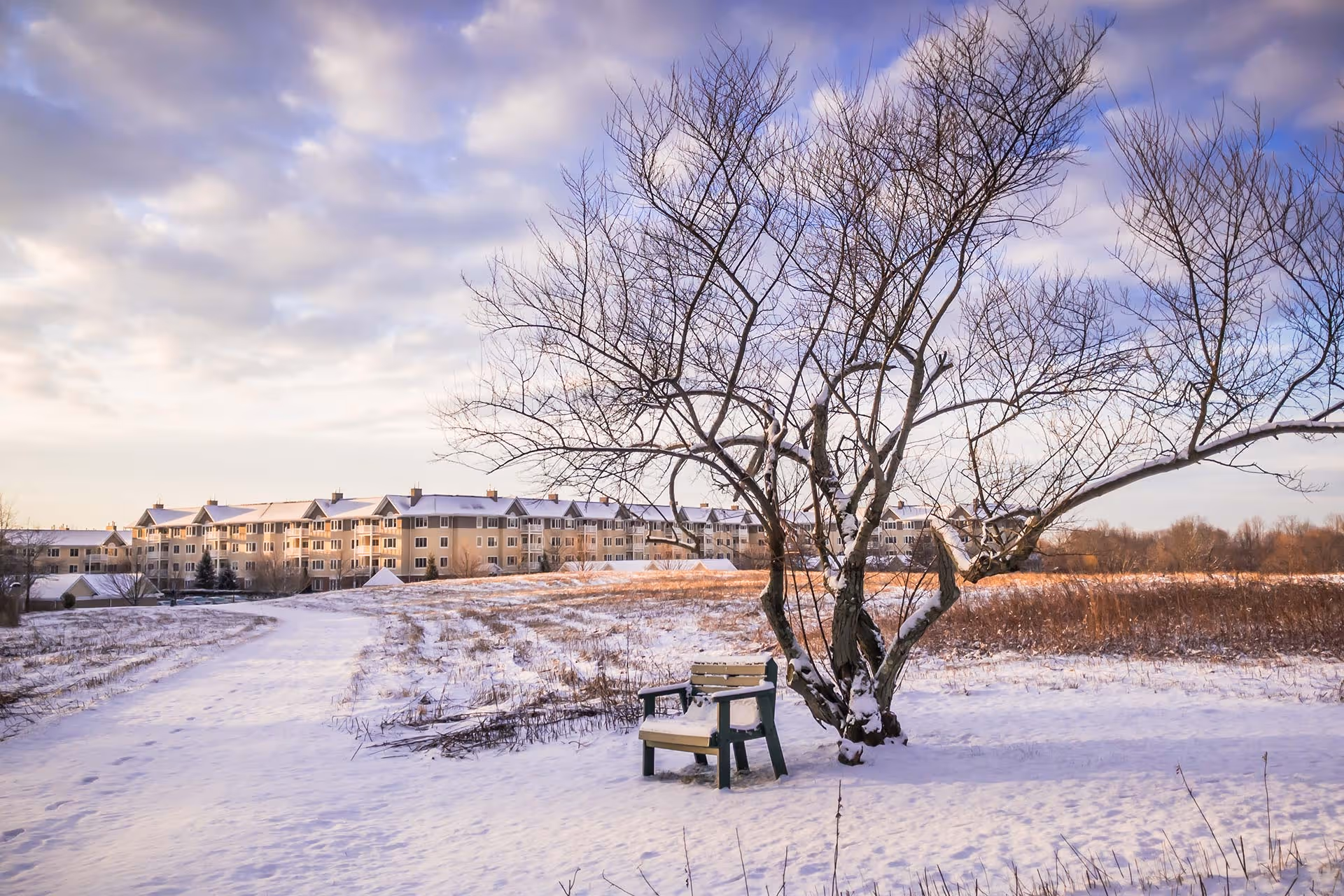 Snow-covered field with a leafless tree and a bench in the foreground, and a large multi-story residential building in the background under a partly cloudy sky.