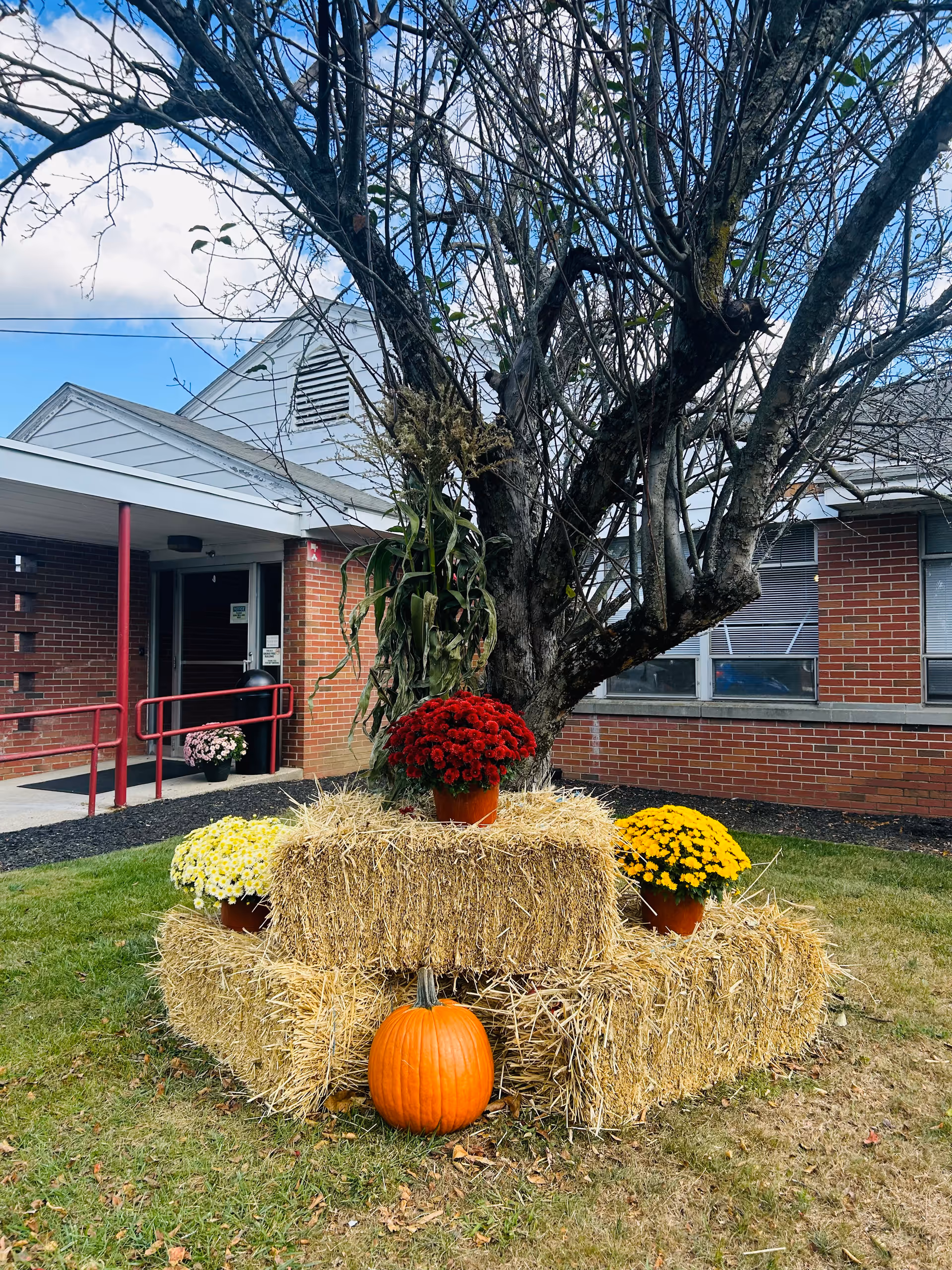 A fall display of stacked hay bales, potted chrysanthemums and a pumpkin beneath a leafless tree in front of a brick building entrance.