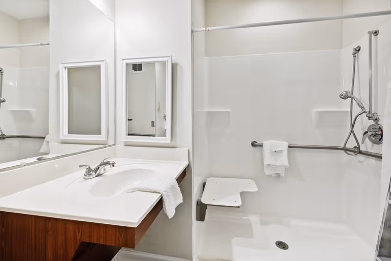 Accessible bathroom with a sink and mirror next to a walk-in shower featuring a fold-down seat, grab bars, and handheld showerhead.