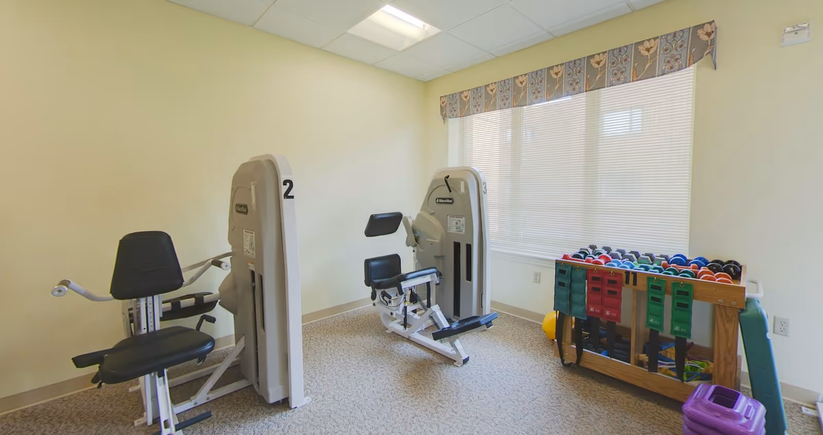 A small exercise room with two seated strength training machines and a rack filled with colorful dumbbells and resistance bands. The room has beige walls, a window with blinds and a floral valance, and carpeted flooring.