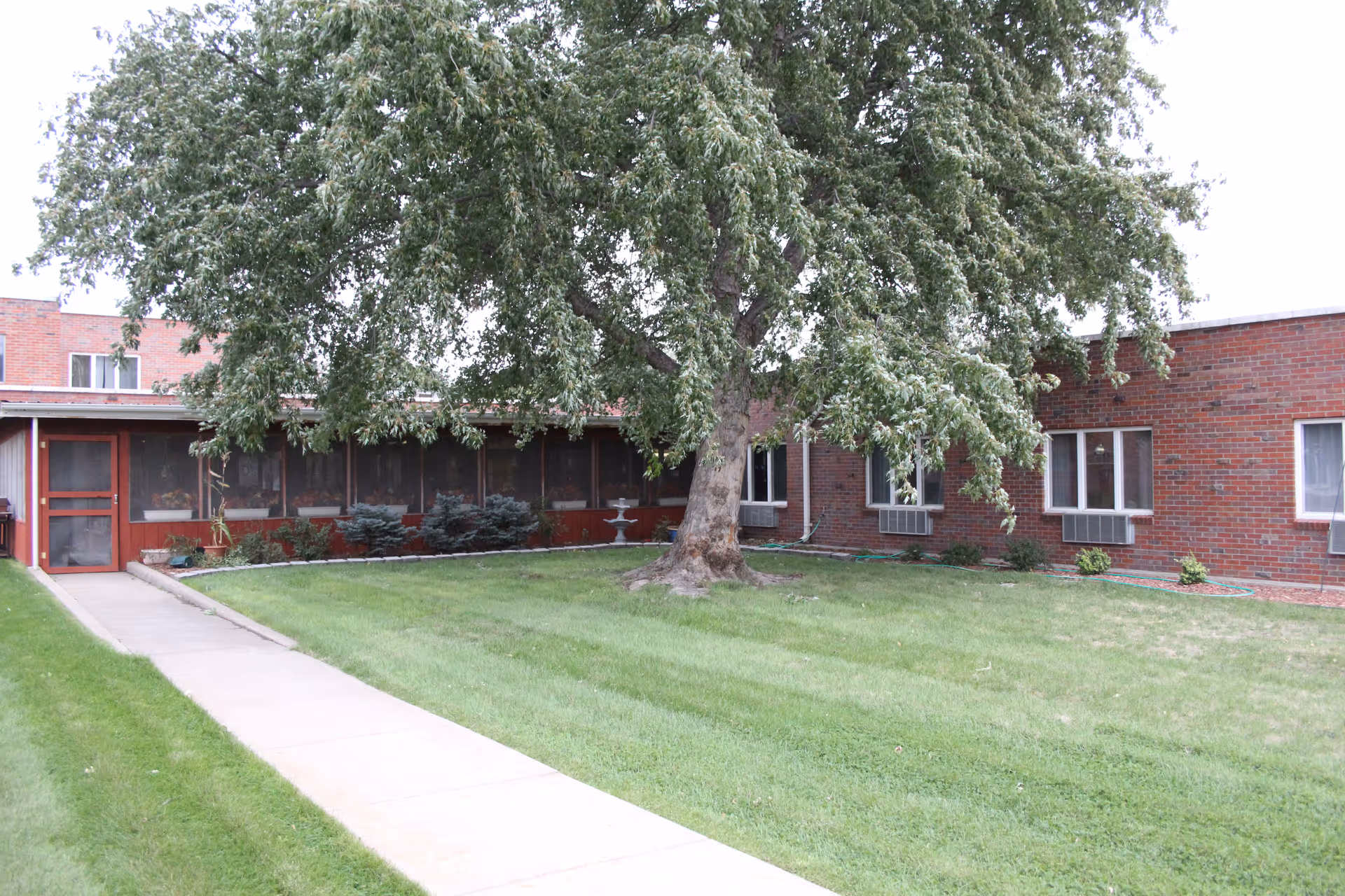 Brick senior living building with a large tree in a grassy courtyard and a sidewalk leading to a screened porch.