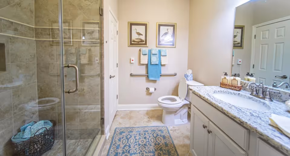 Bathroom with a glass-enclosed shower, toilet, and a vanity with granite countertop and mirror.