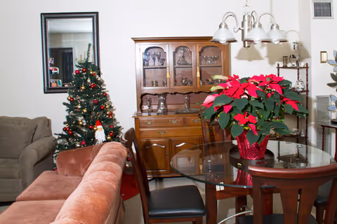 Furnished living and dining area featuring a decorated Christmas tree, wooden hutch, glass dining table with a poinsettia, and sofas.