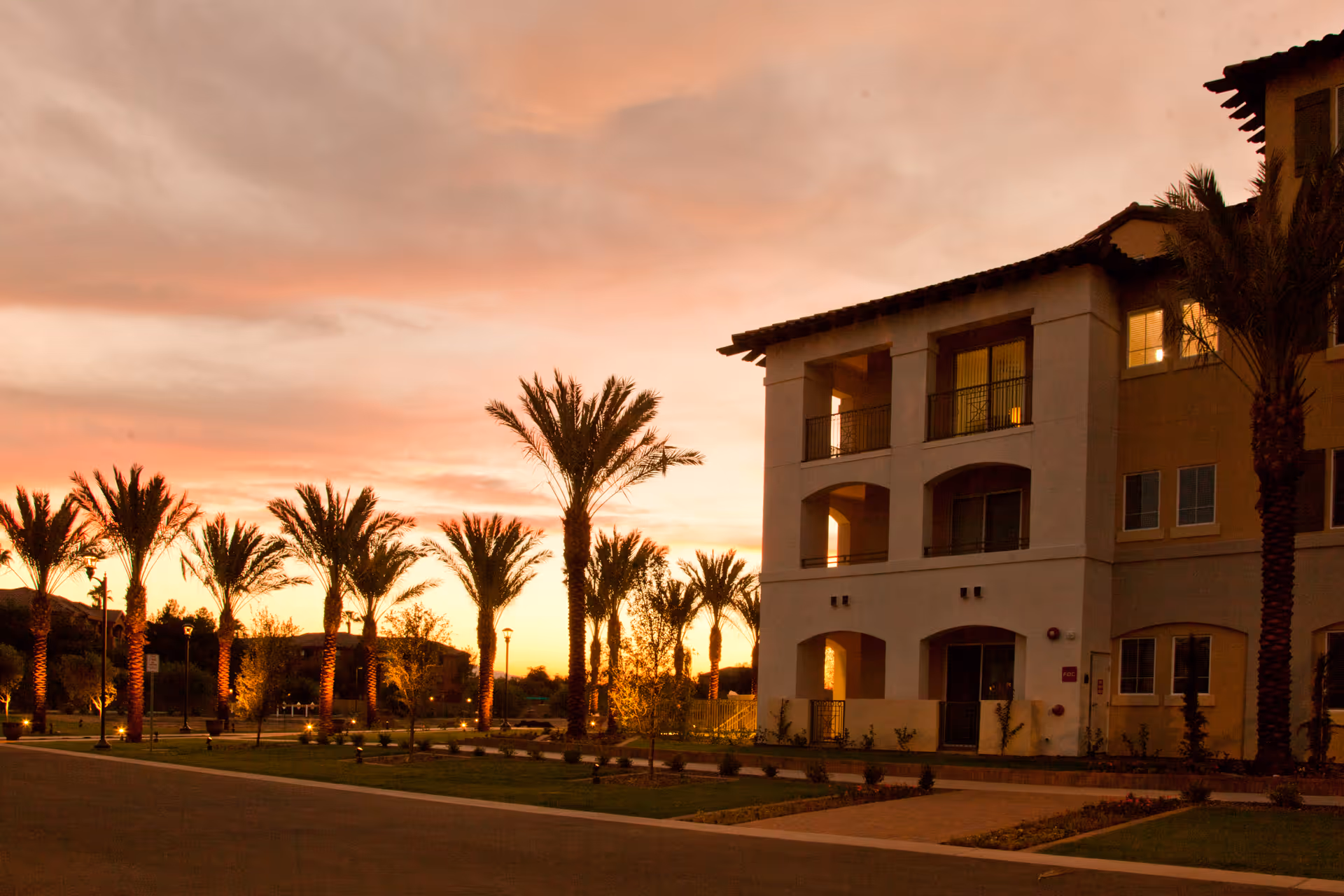 Exterior view of a senior living facility building named The Colonnade at sunset, with palm trees lining the walkway and warm lights illuminating the area.