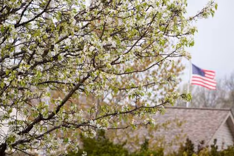 Blossoming tree in foreground with Jefferson Health Care building front and American flag in background.