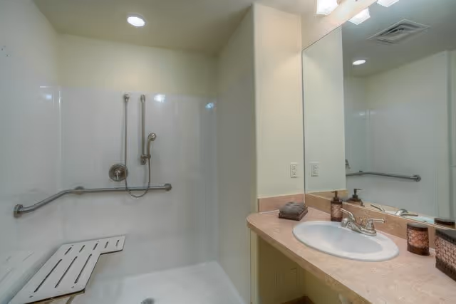 Accessible bathroom with a walk-in shower featuring a fold-down bench and grab bars. The shower has a handheld showerhead. Adjacent to the shower is a countertop with a sink, soap dispenser, and a large mirror above.