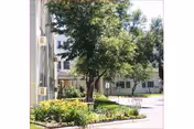 Exterior of Wildwood Manor with a tree, shrubs, and a parking area.