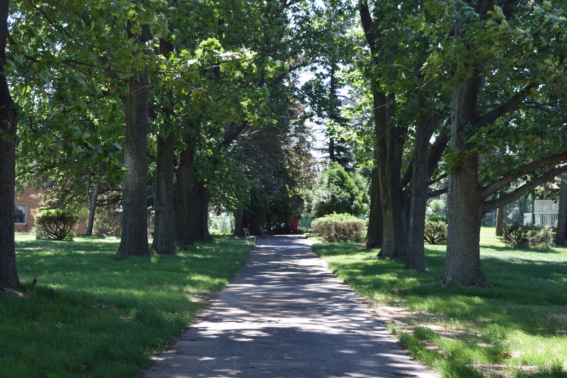 Shaded tree-lined walkway on a grassy, tranquil outdoor area at a senior living campus.