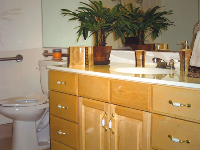 Bathroom with a white toilet and wooden vanity with multiple drawers and cabinets. On the countertop, there are decorative items including a potted plant, a candle, and a soap dispenser. A large mirror is mounted on the wall above the sink.