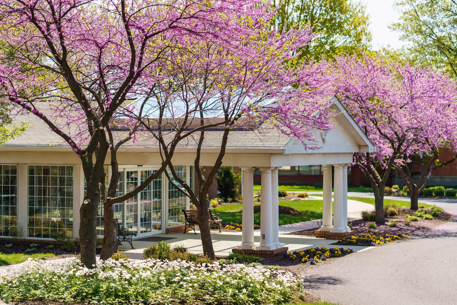 Entrance of a senior living building with white columns, pink-blossom trees, and landscaped flower beds.
